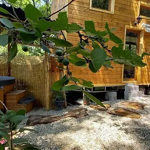 Mini Maison Tiny House Et Son Bain Nordique , Figeac France